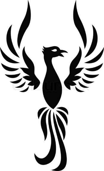Carden Logo